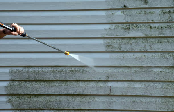 Best Toxic Mold Removal  in Oswego, KS