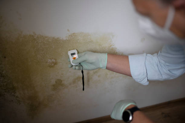 Best Mold Remediation  in Oswego, KS