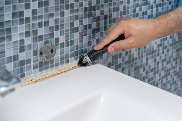 Best Mold Removal Company Near Me  in Oswego, KS