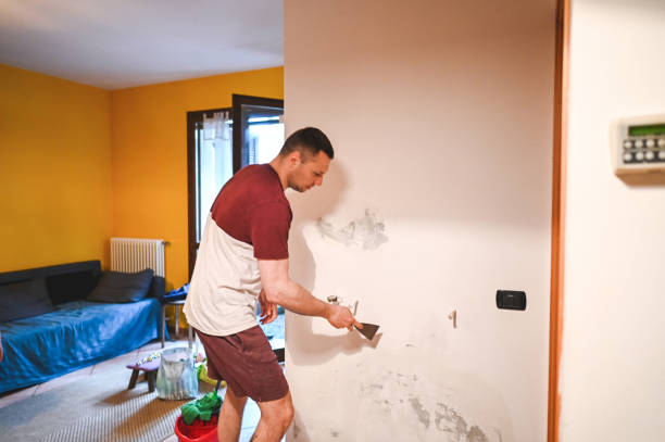 Best Emergency Mold Removal  in Oswego, KS