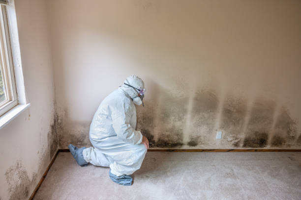 Best Mold Testing  in Oswego, KS